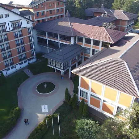 Cigota * Zlatibor